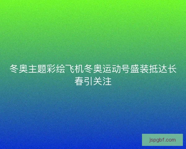 冬奥主题彩绘飞机冬奥运动号盛装抵达长春引关注