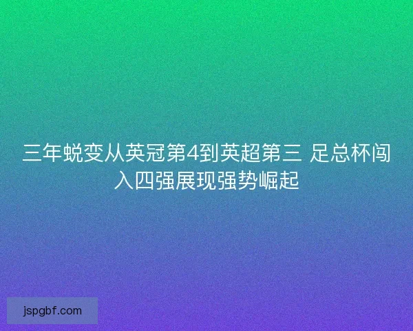 三年蜕变从英冠第4到英超第三 足总杯闯入四强展现强势崛起